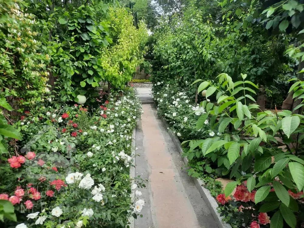 فروش ویلا ۱۳۰۰متری جابان