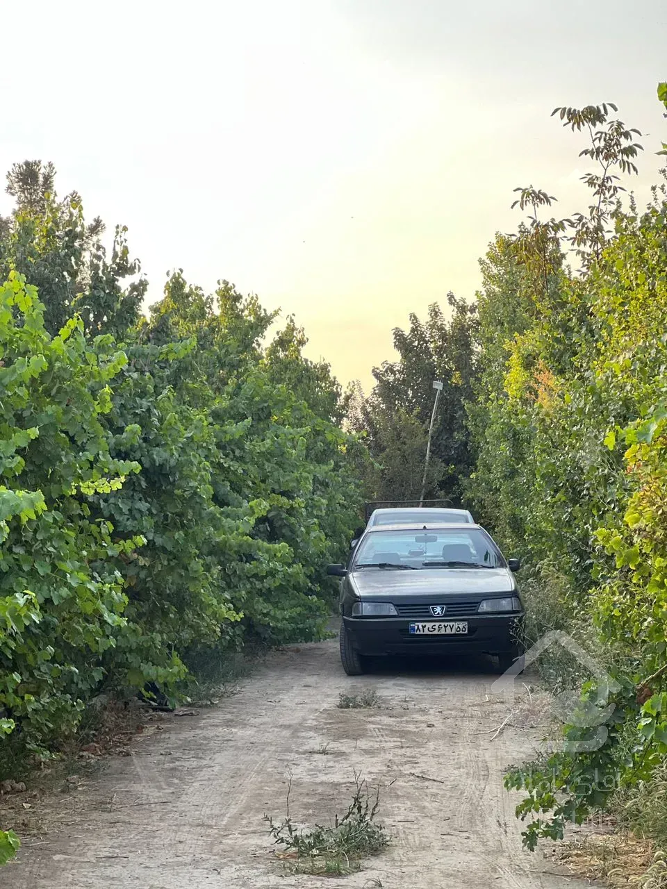 باغ ۱۲۰۰ متری