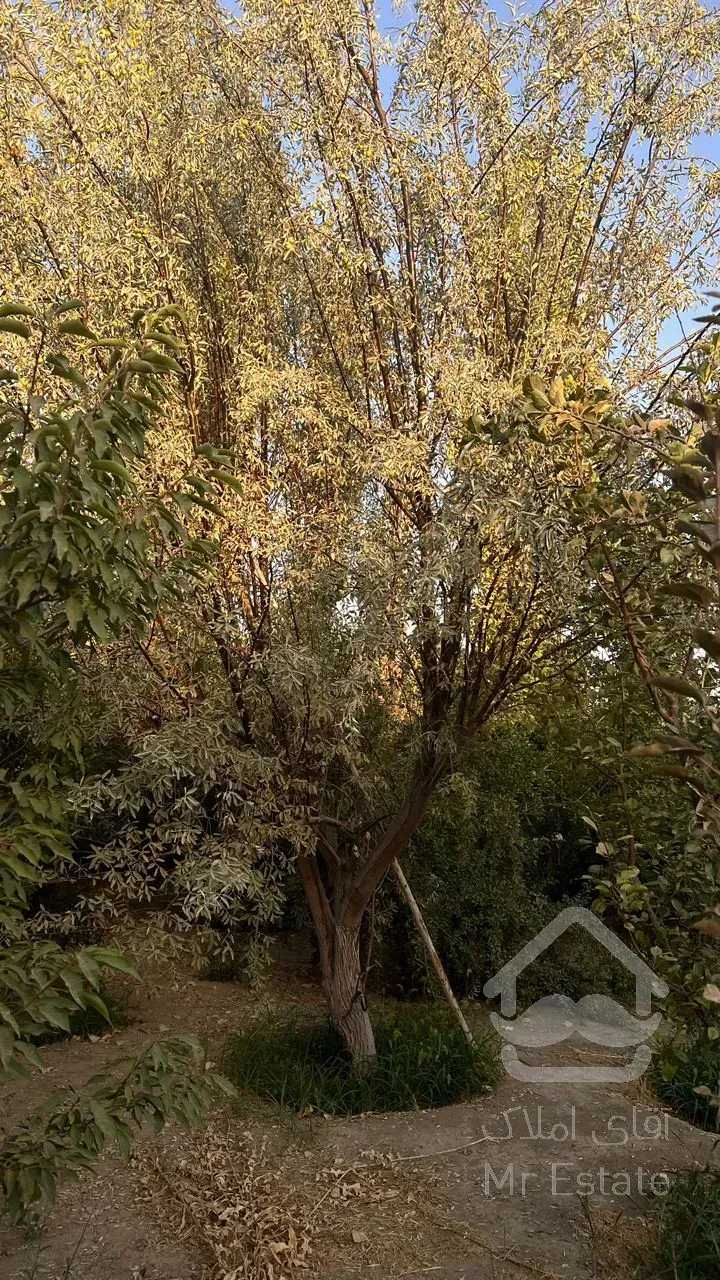 باغ ۱۲۰۰ متری