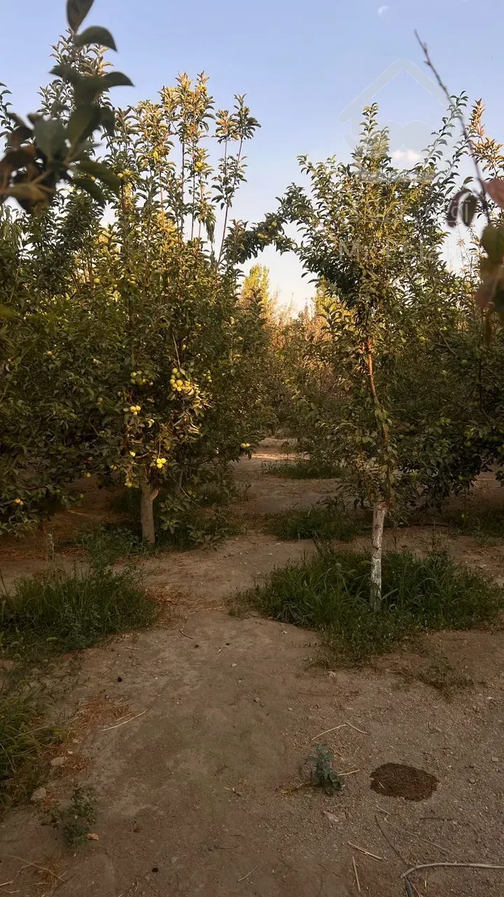 باغ ۱۲۰۰ متری