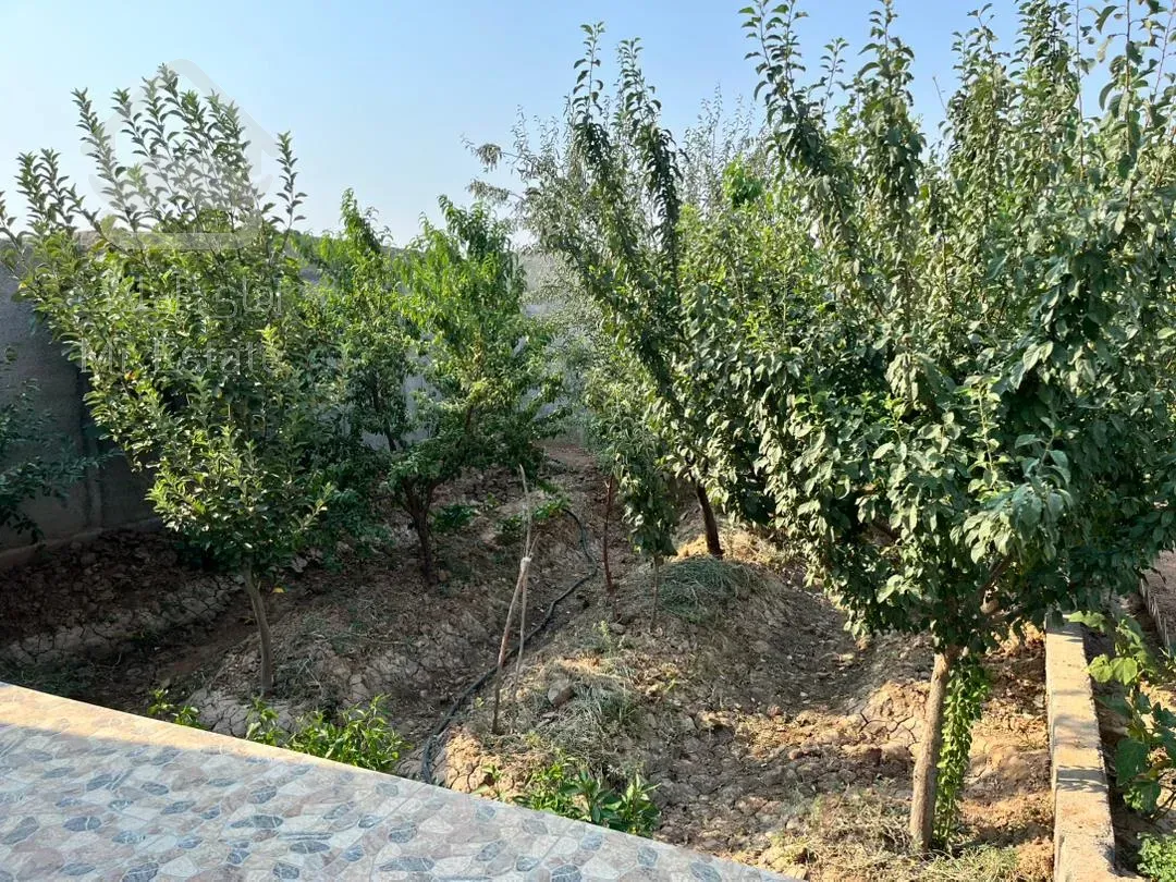 باغچه ۳۰۰ متری خارج بافت بدون انشعابات