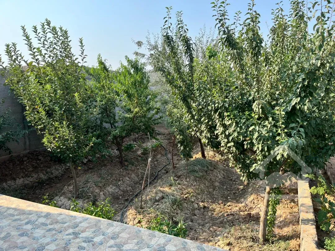 باغچه ۳۰۰ متری خارج بافت بدون انشعابات