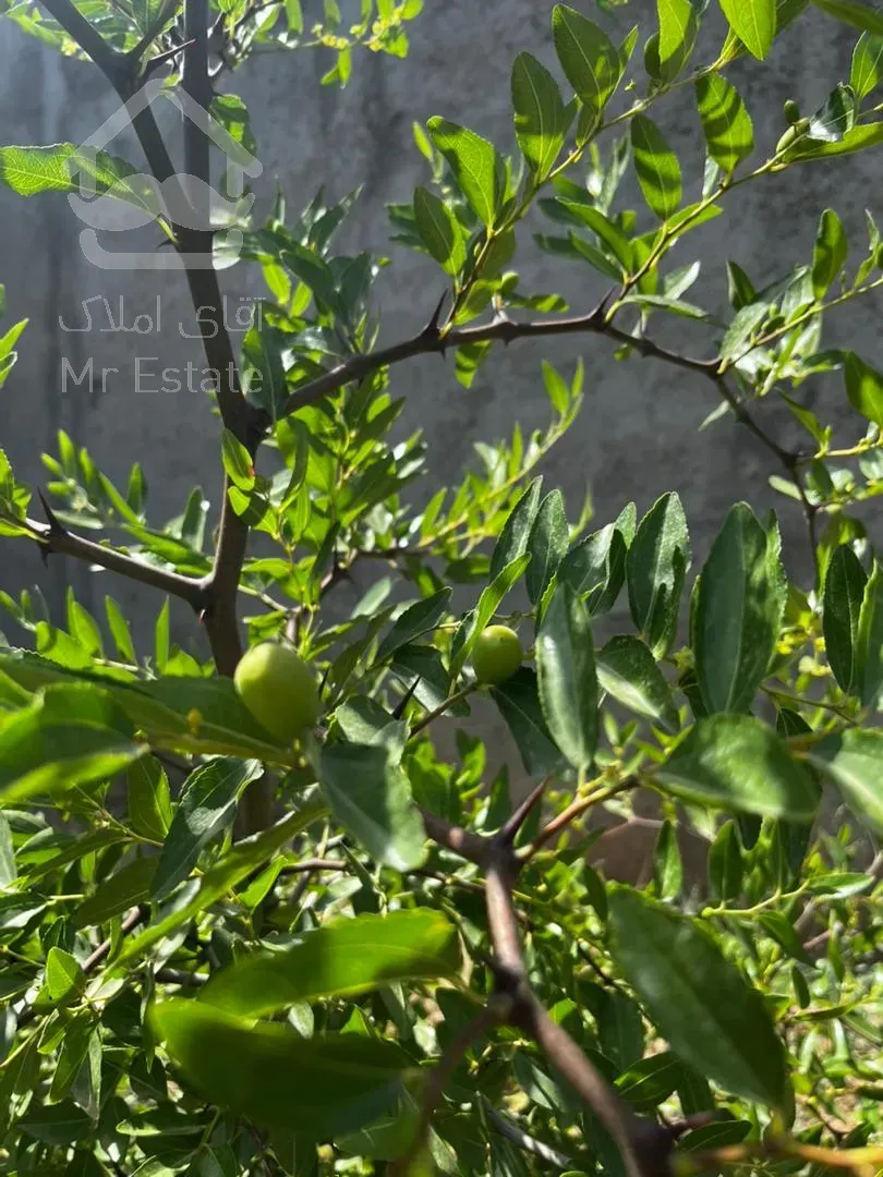 باغچه ۳۰۰ متری خارج بافت بدون انشعابات