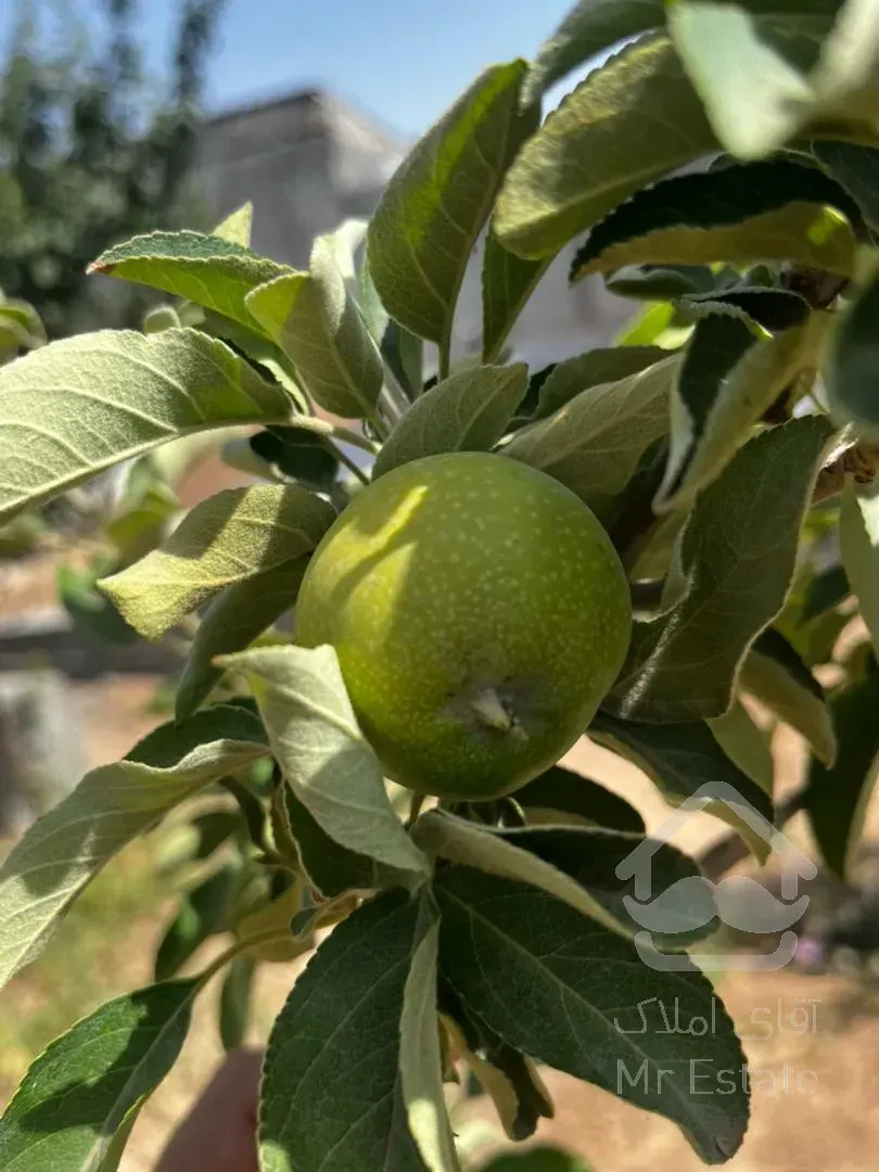 باغچه ۳۰۰ متری خارج بافت بدون انشعابات