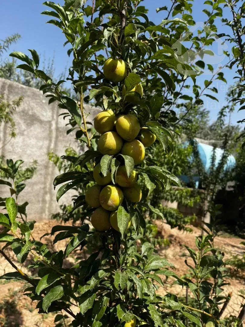 باغچه ۳۰۰ متری خارج بافت بدون انشعابات