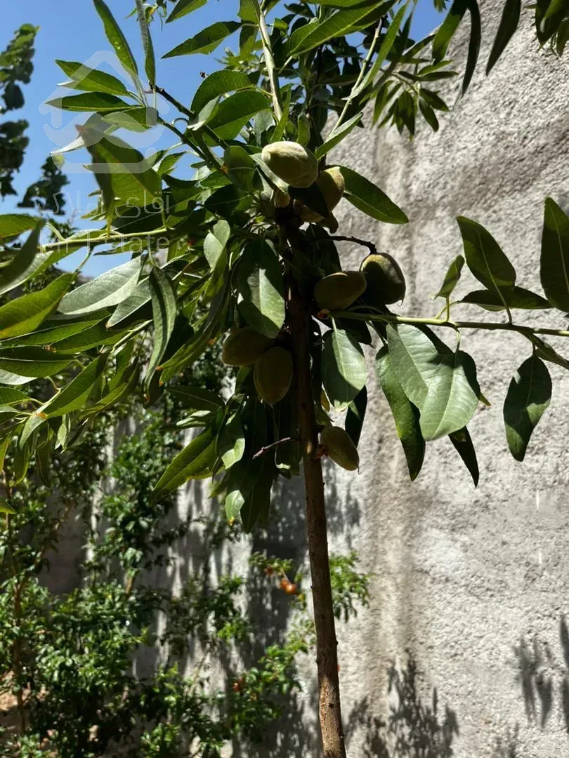 باغچه ۳۰۰ متری خارج بافت بدون انشعابات