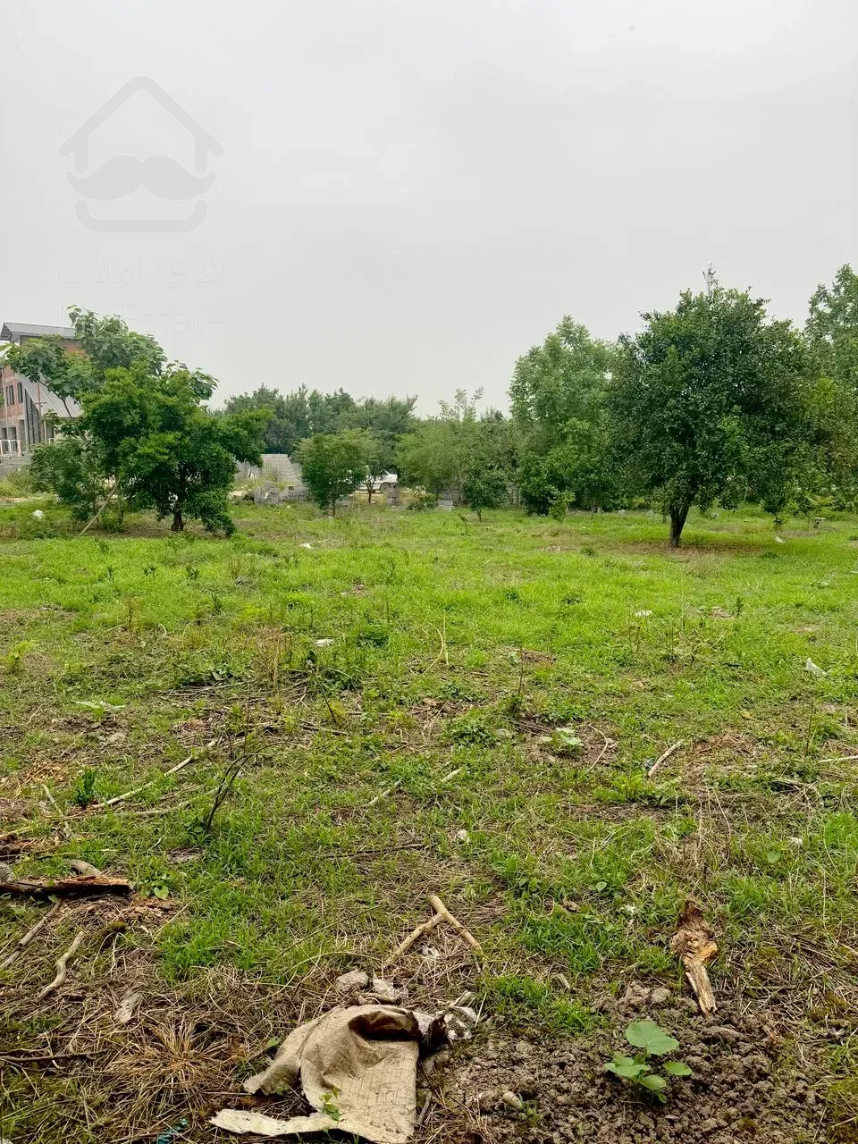 فروش فوری زمین ۲۳۰ ۲۵۰ و ۳۰۰متری