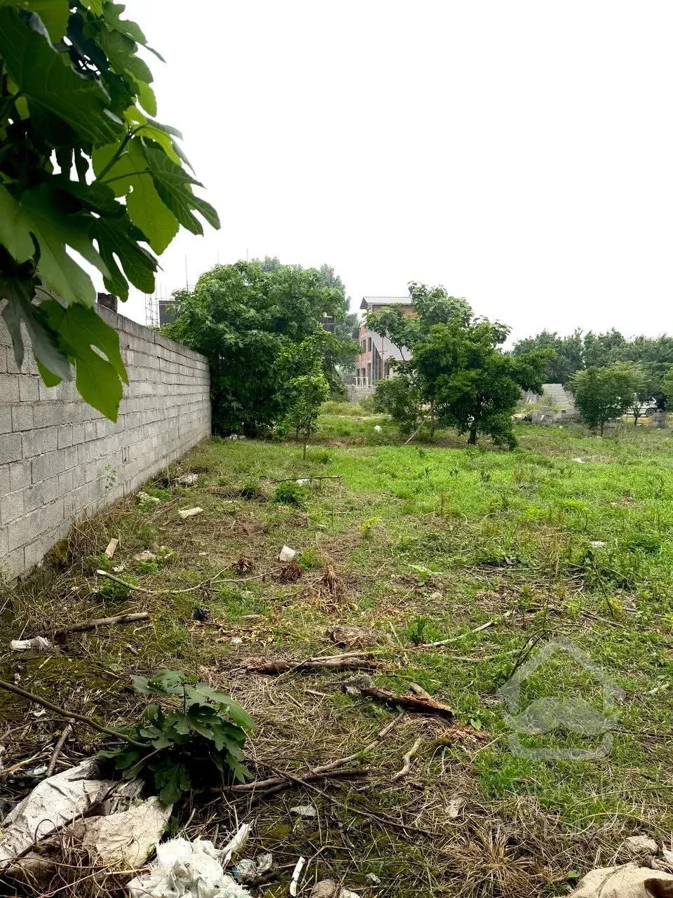 فروش فوری زمین ۲۳۰ ۲۵۰ و ۳۰۰متری