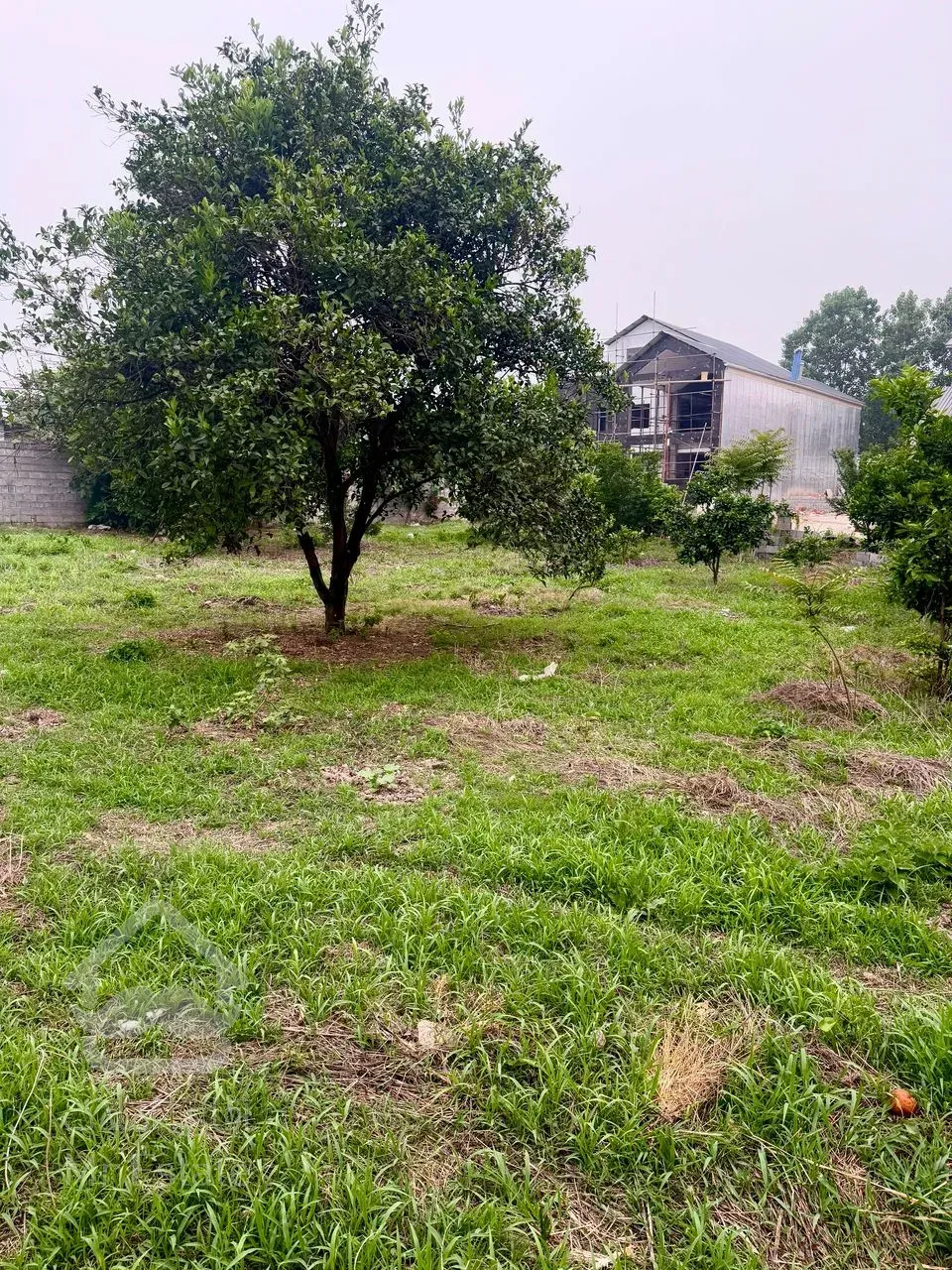 فروش فوری زمین ۲۳۰ ۲۵۰ و ۳۰۰متری