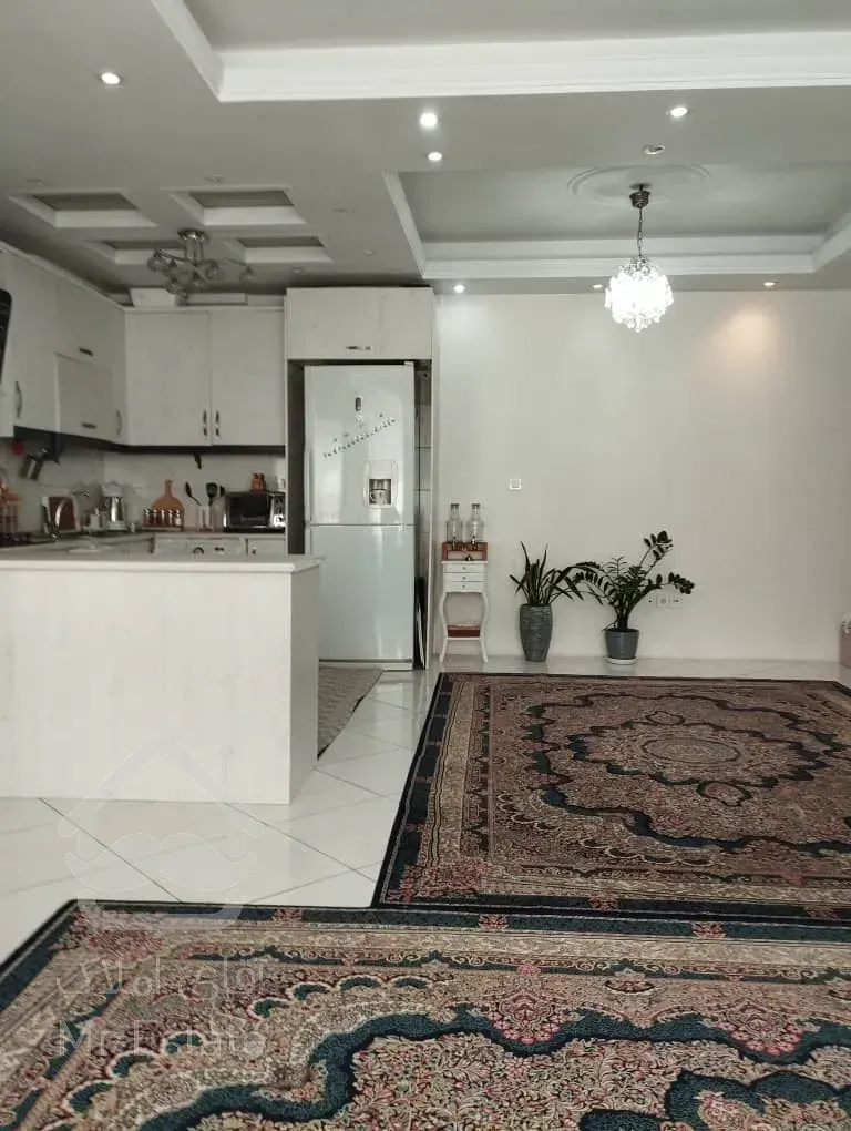 ۸۱متری سند دار