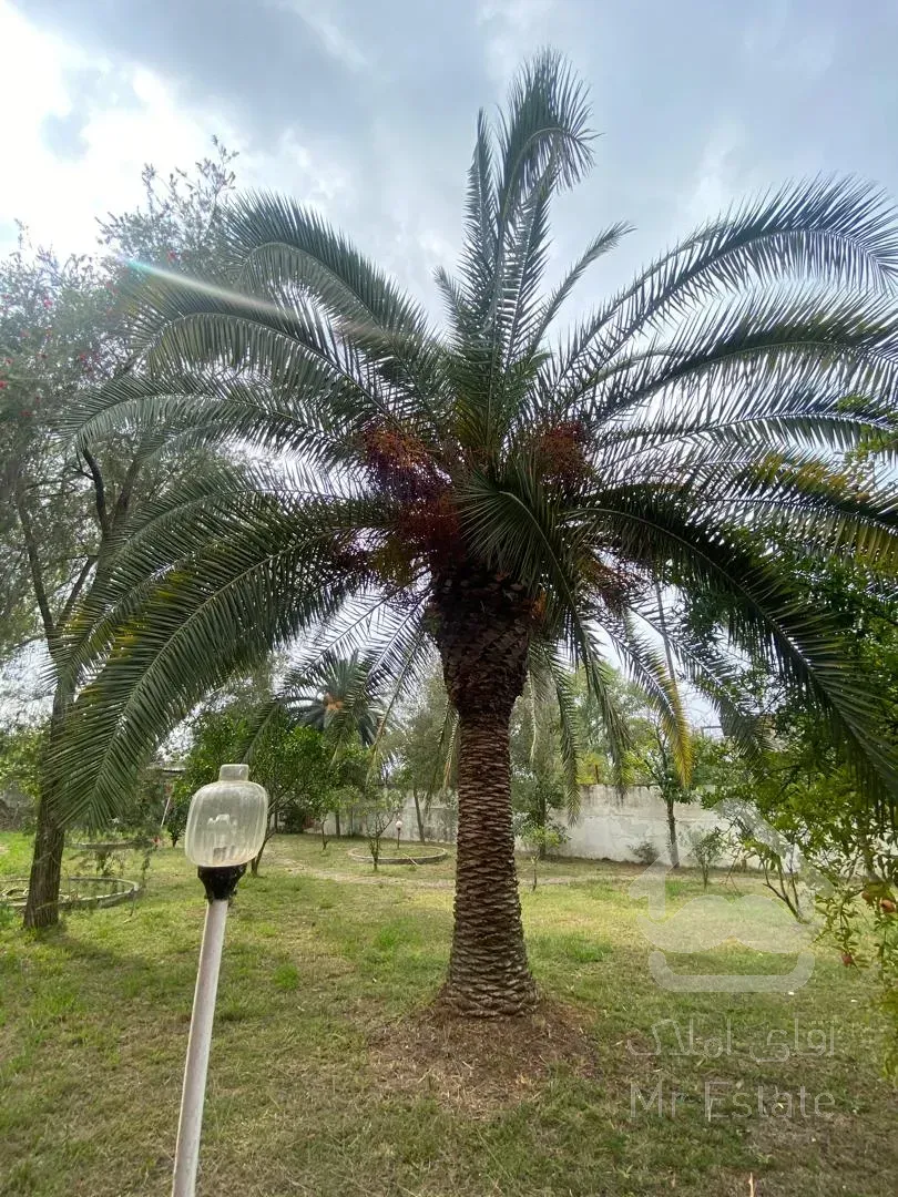 فروش زیر قیمت