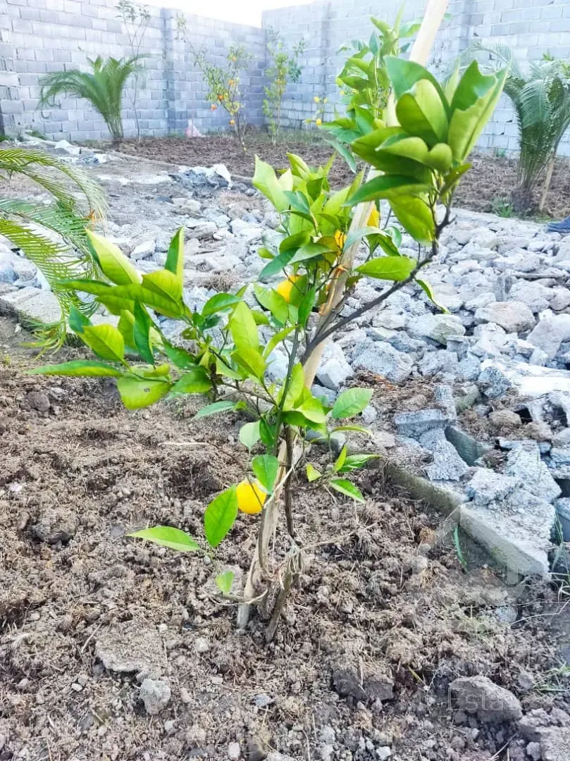 فروش ویژه زمین بافت مسکونی با سند و پروانه