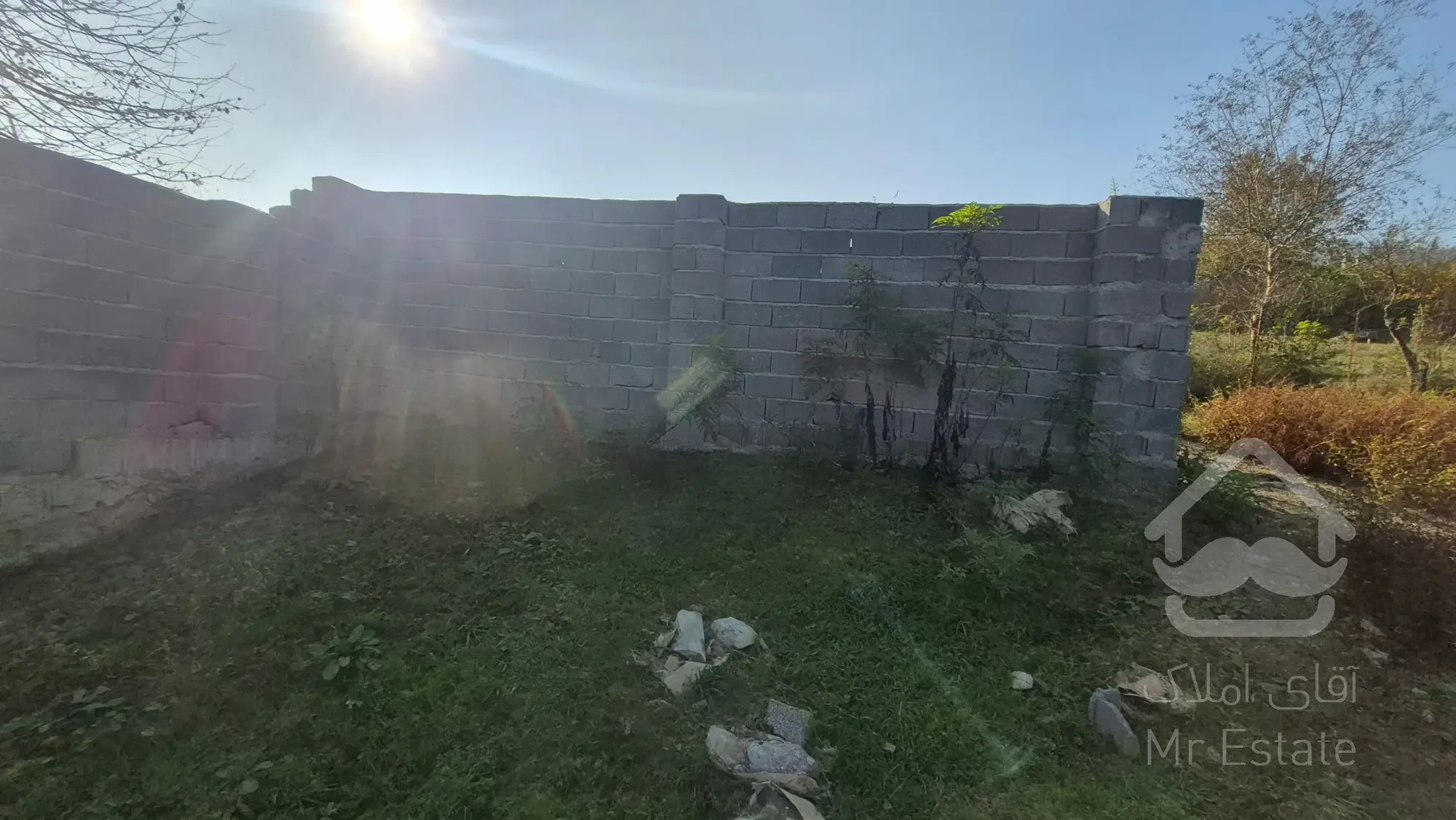 زمین باغی در روستای کچا