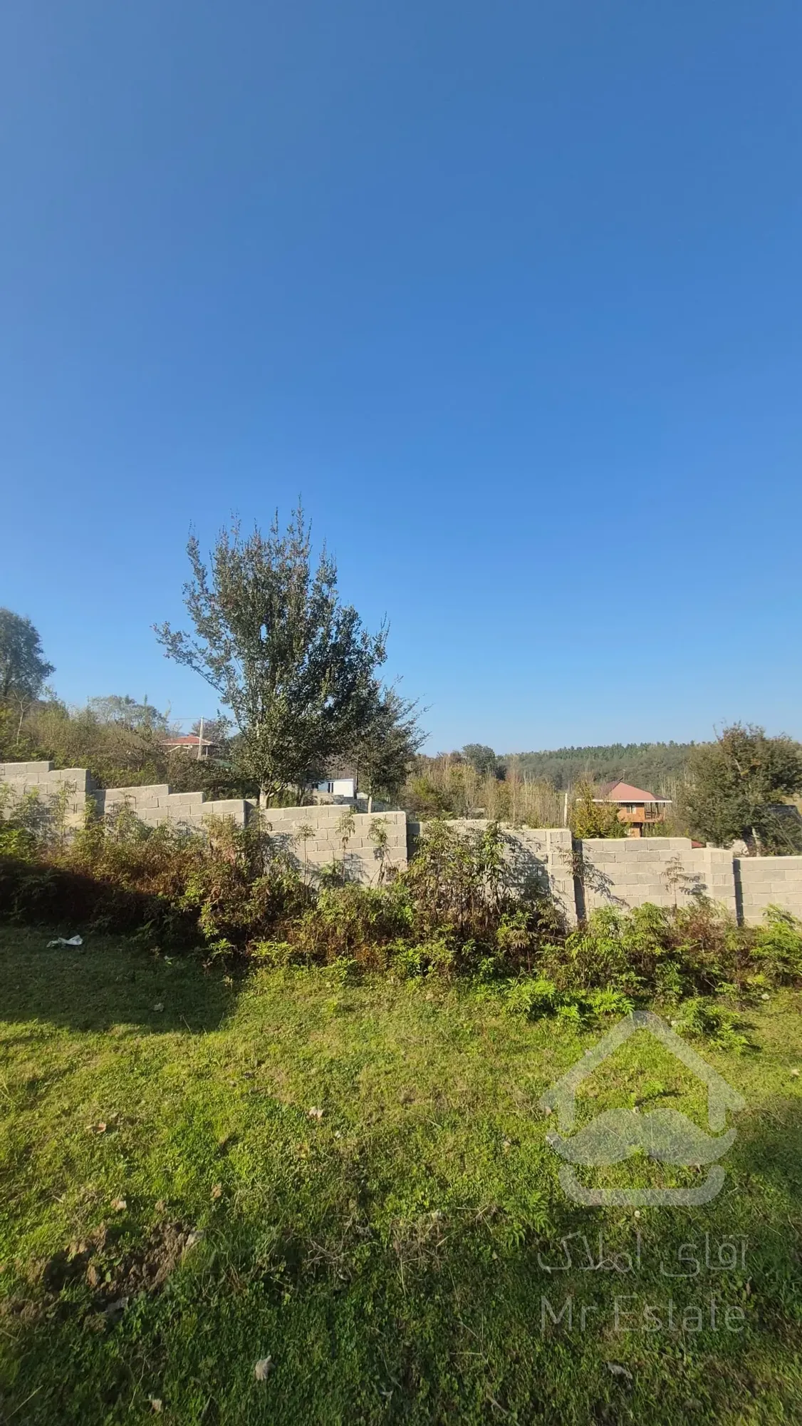 زمین باغی در روستای کچا