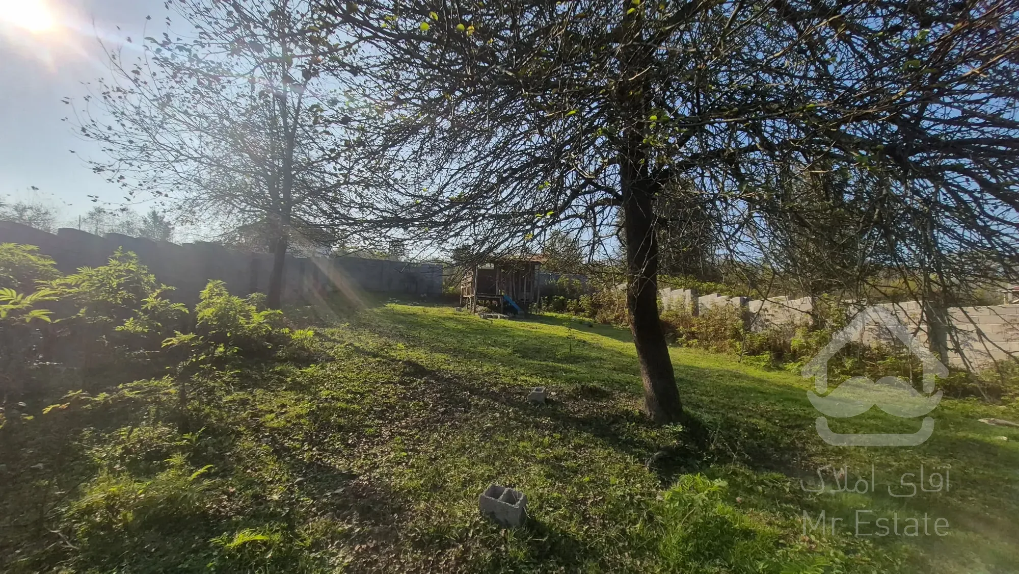زمین باغی در روستای کچا