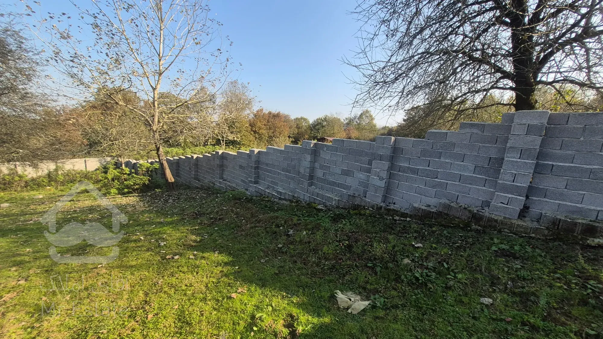 زمین باغی در روستای کچا