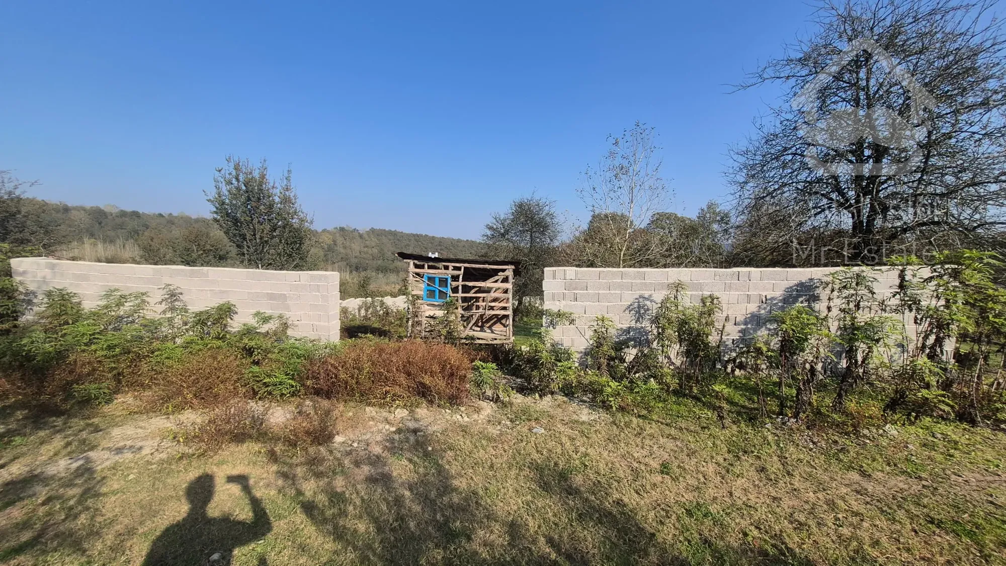 زمین باغی در روستای کچا