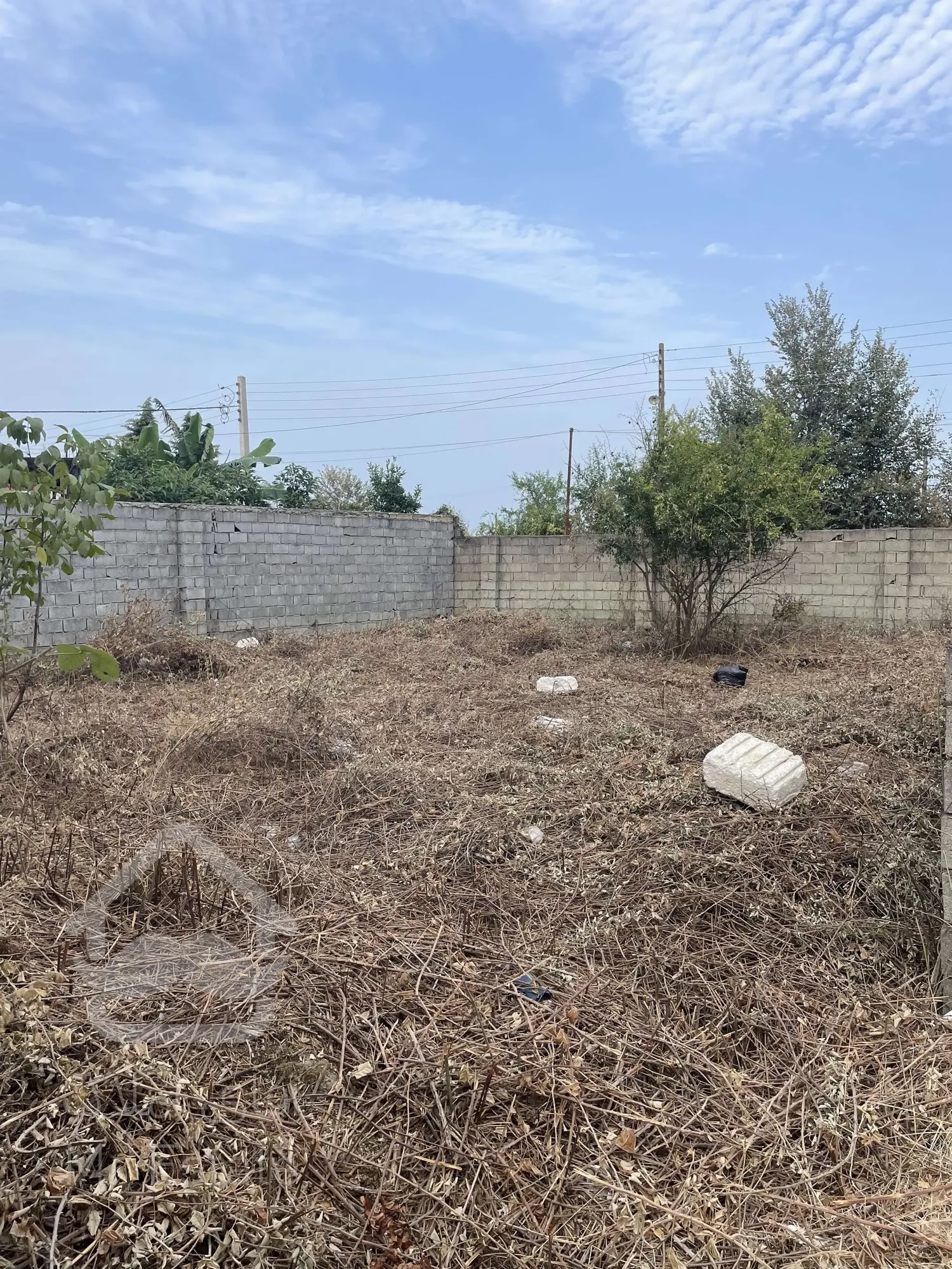 فرصت عالی برای سرمایه گذاری