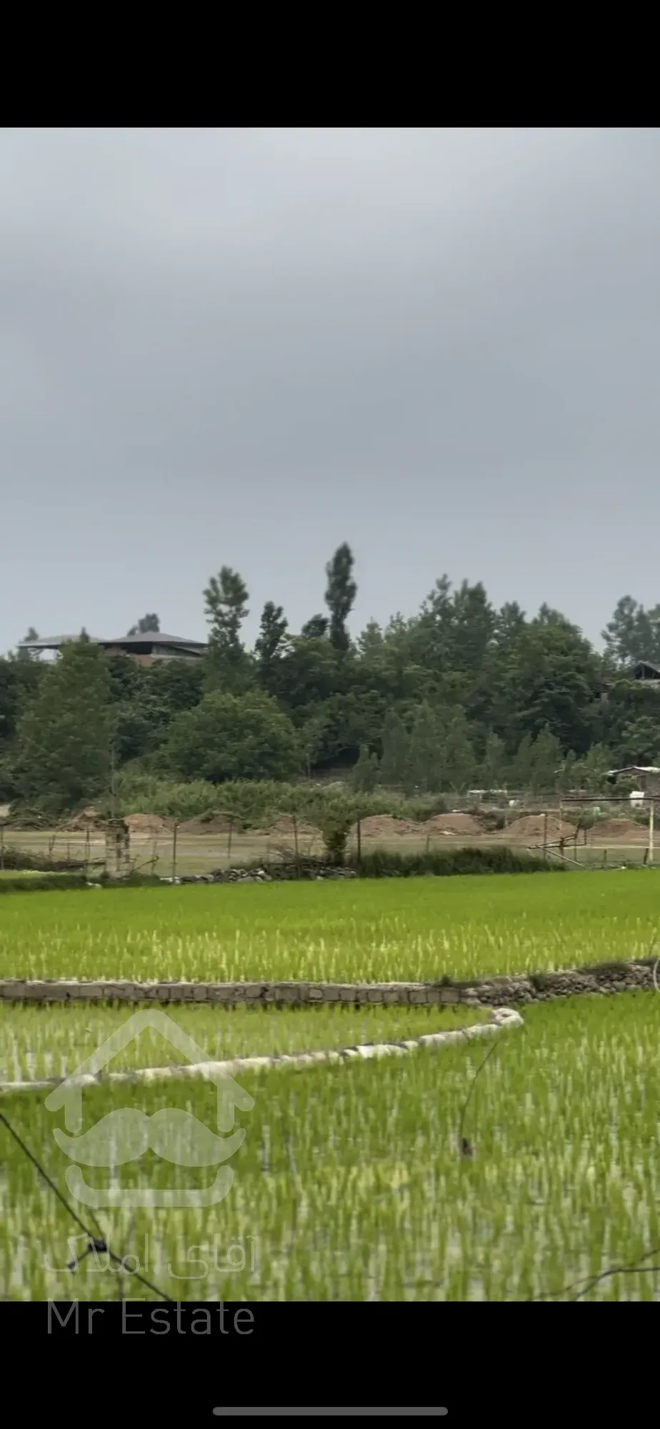 زمین جنگلی شمال با انشعابات نصب