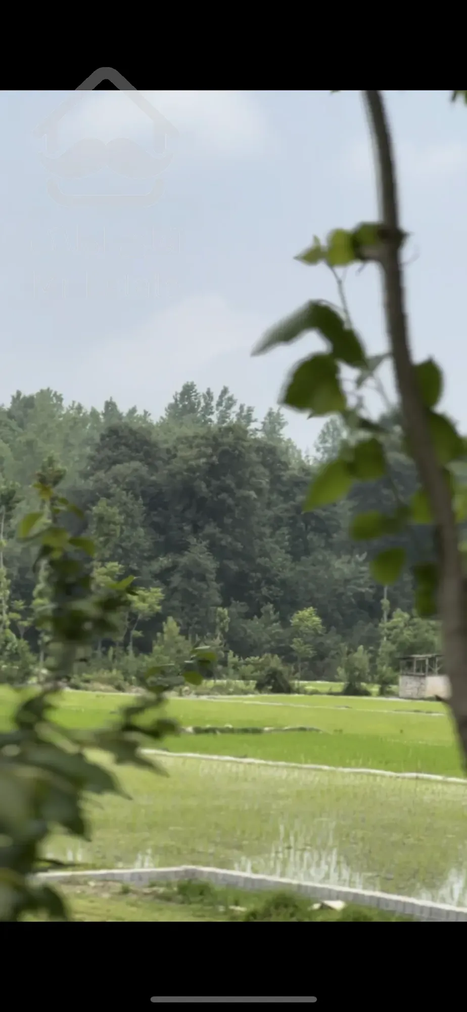 زمین جنگلی شمال با انشعابات نصب