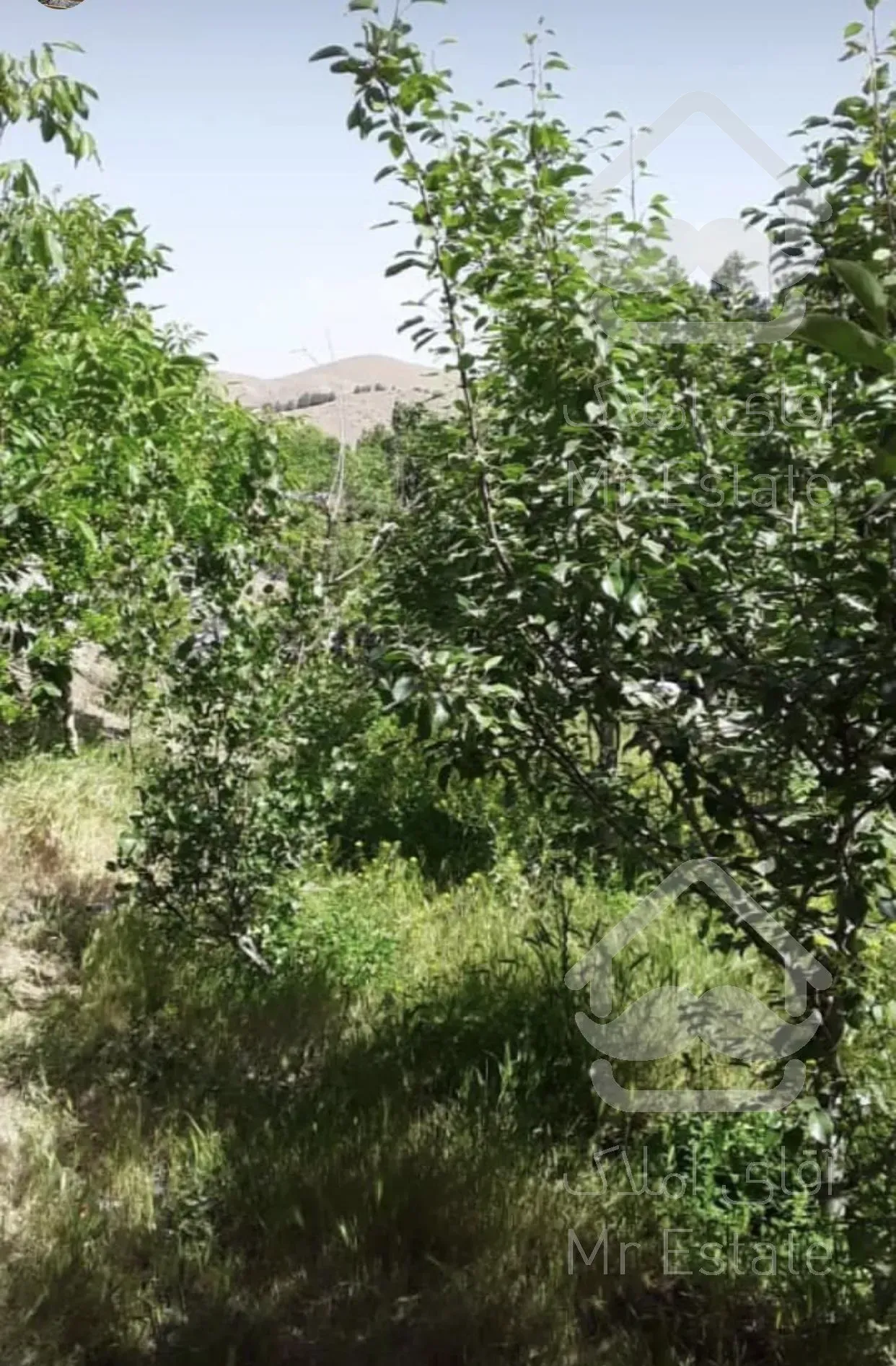 کردان فروش زمین داخل بافت