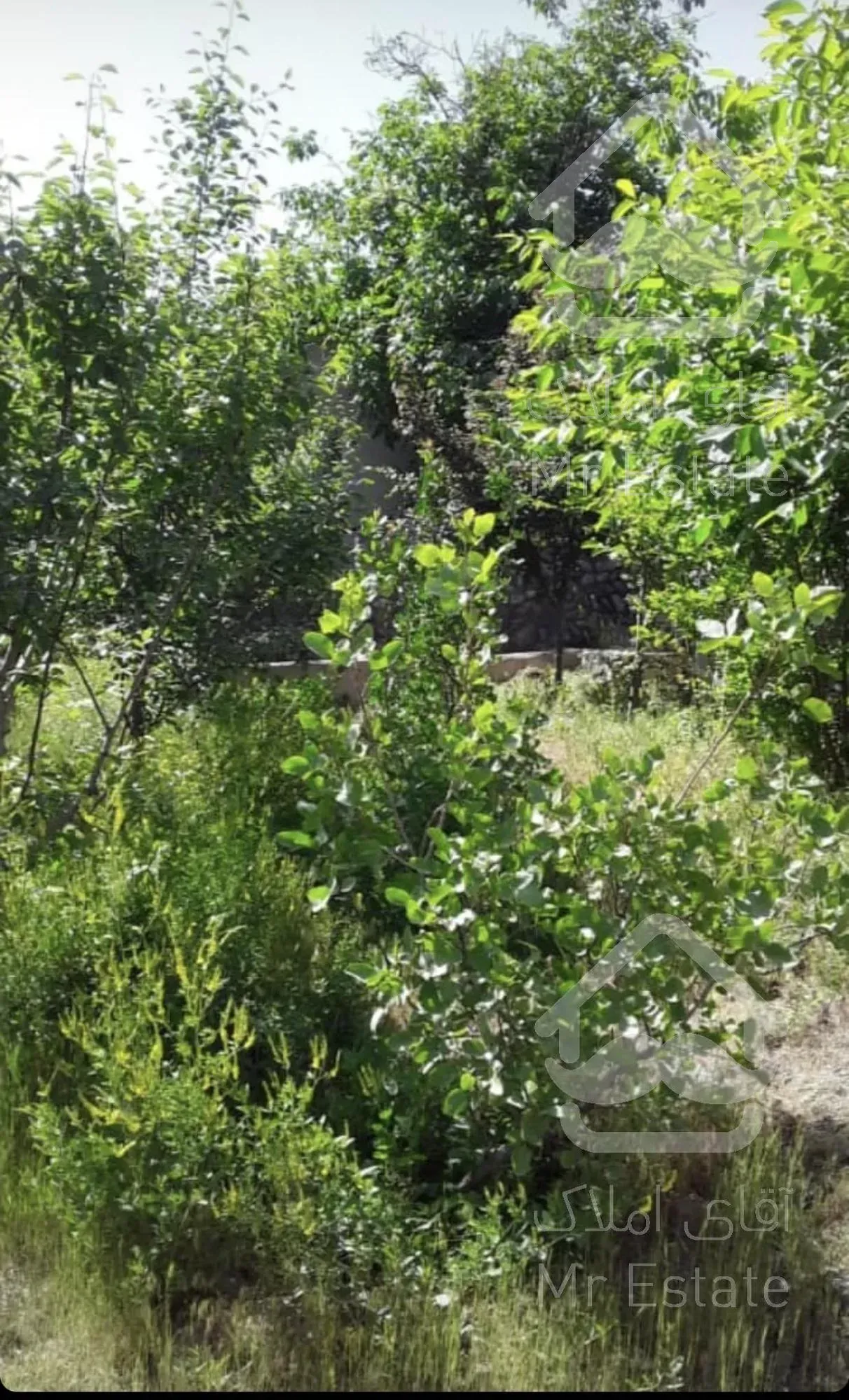 کردان فروش زمین داخل بافت