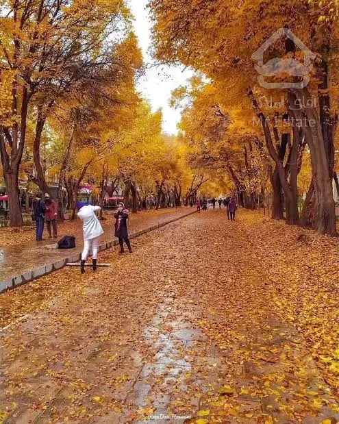 فروش مغازه واقع در پاساژ (چهارباغ عباسی)