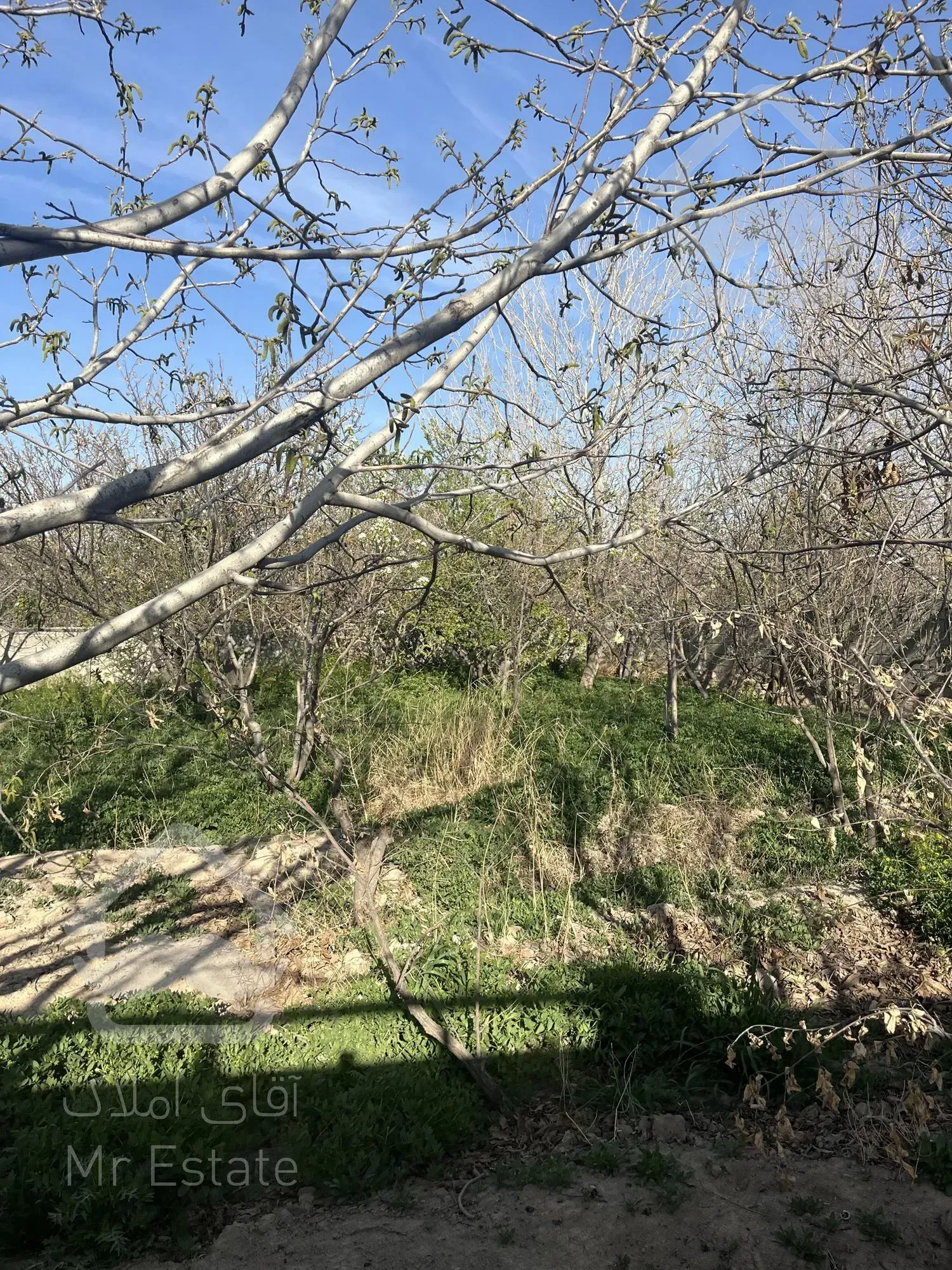 باغ چهار دیواری شده