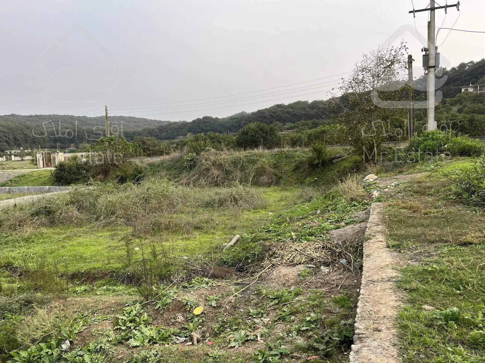 ۳۲۶ متر زمین جنگلی