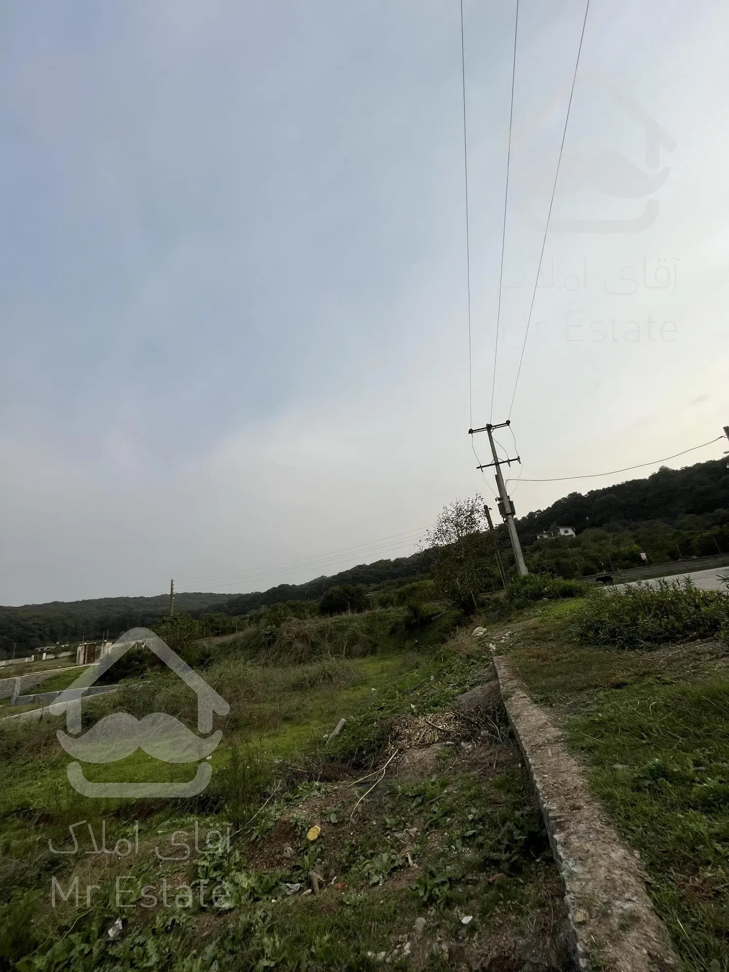 ۳۲۶ متر زمین جنگلی