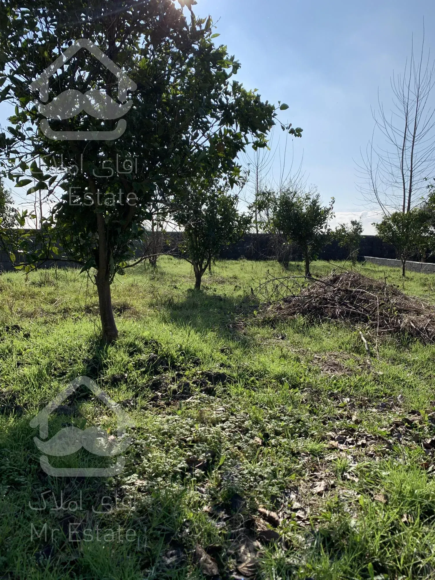 باغچه ۲۰۰متری /شهرکی /اقساط ۱۰ماهه