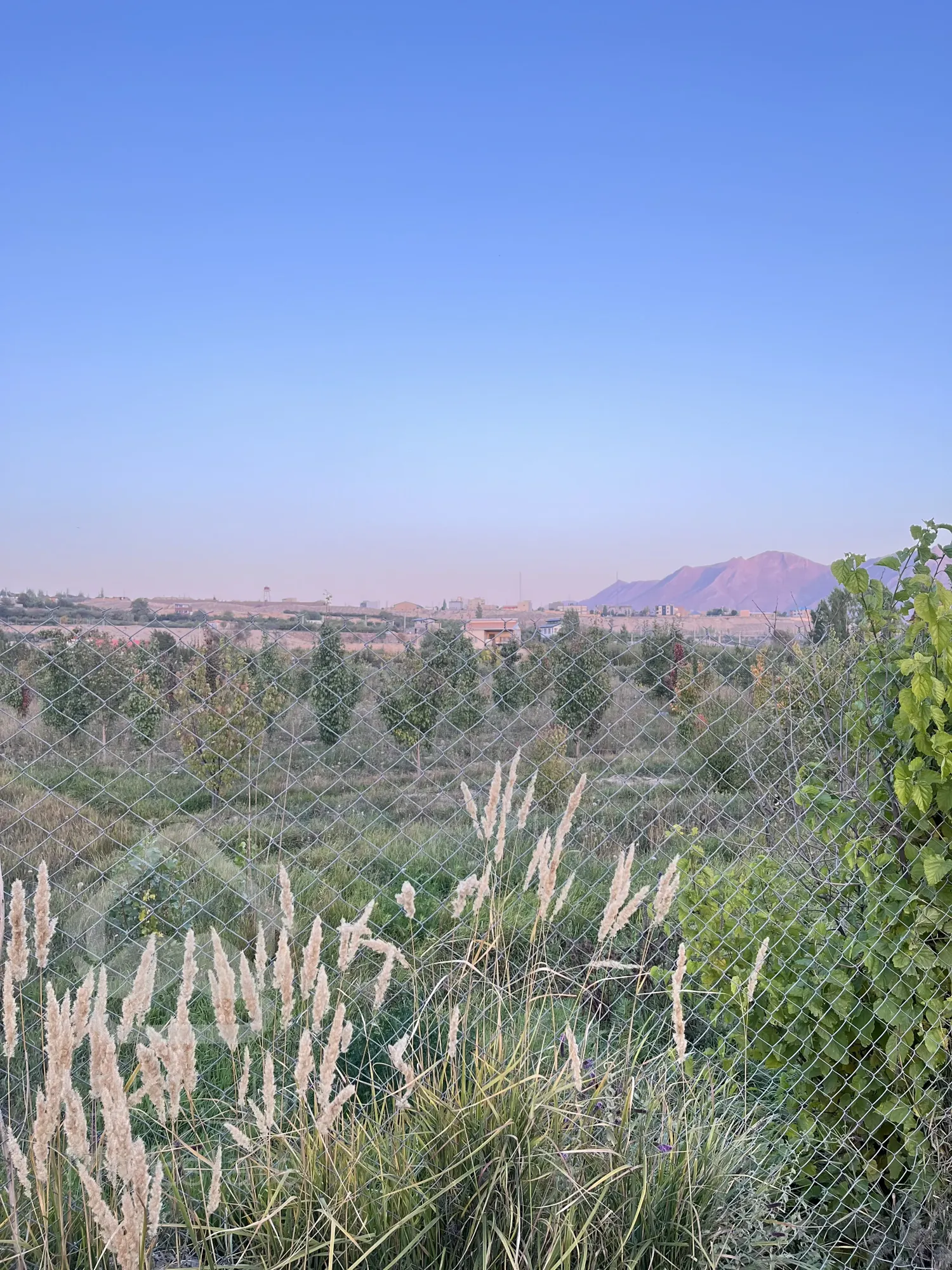 زمین در بهترین منطقه دشت کلفور