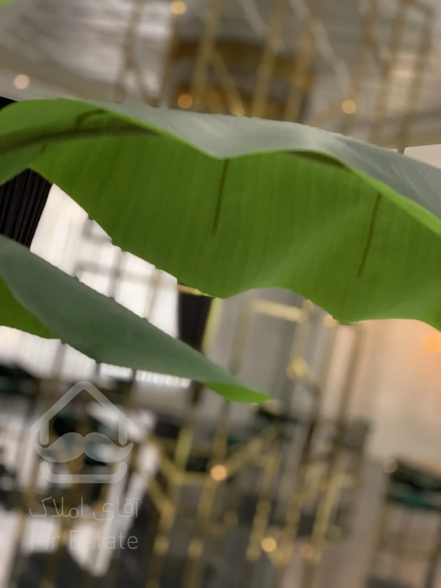 پیش فروش واحد 125 متری لاکچری در رونیکا پالاس دردشت