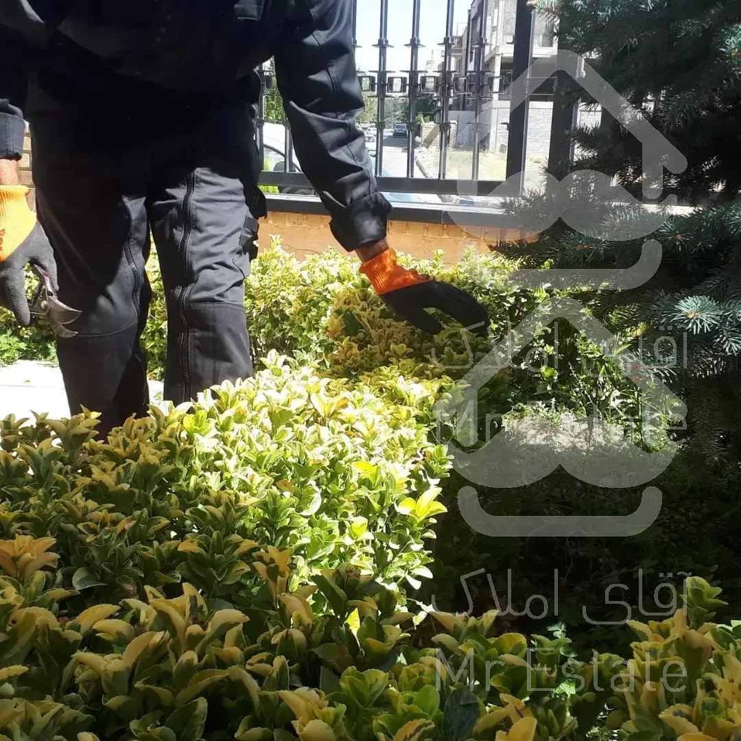 باغبانی سمپاشی محلول پاشی گلکاری چمن کاری