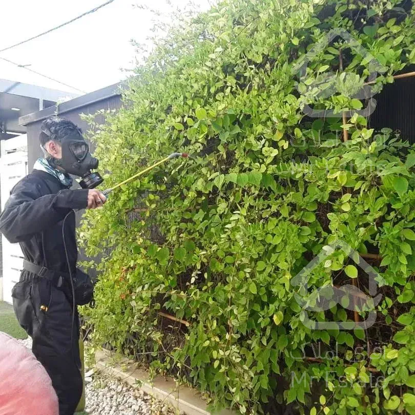 باغبانی سمپاشی محلول پاشی گلکاری چمن کاری