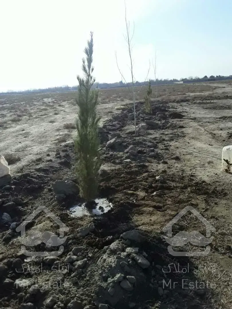 هزار زمین فروشی توس ۱۶۵