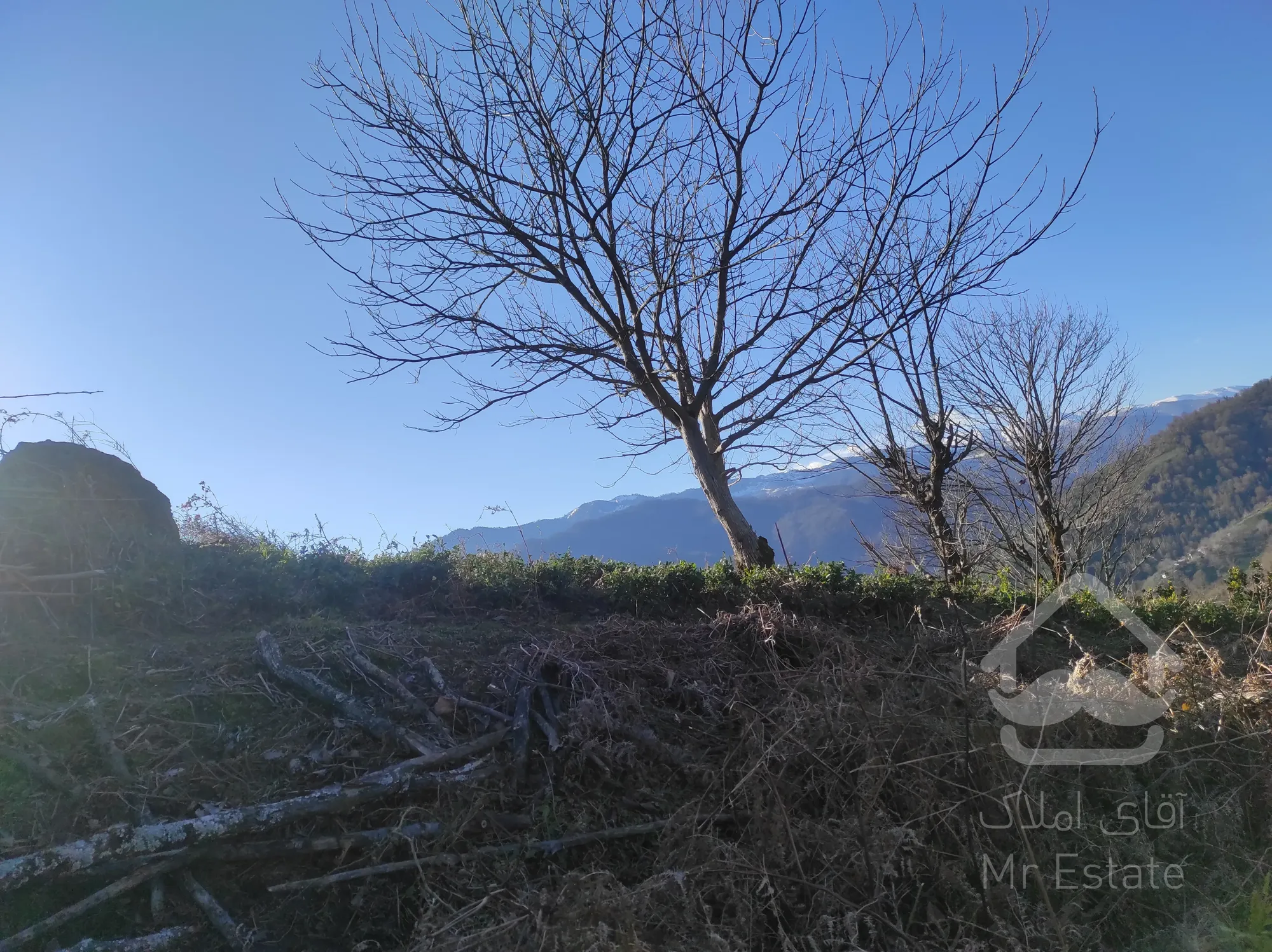 زمین مسکونی با ویو بی نظیر