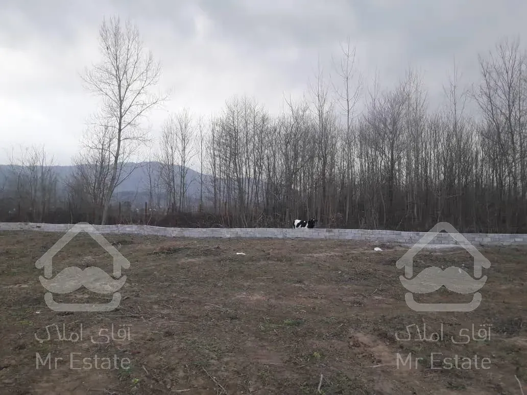 زمین با‌کاربری پرورش شترمرغ