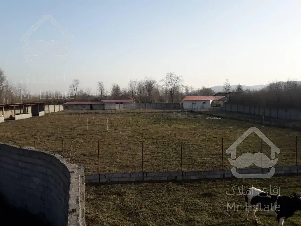 زمین با‌کاربری پرورش شترمرغ