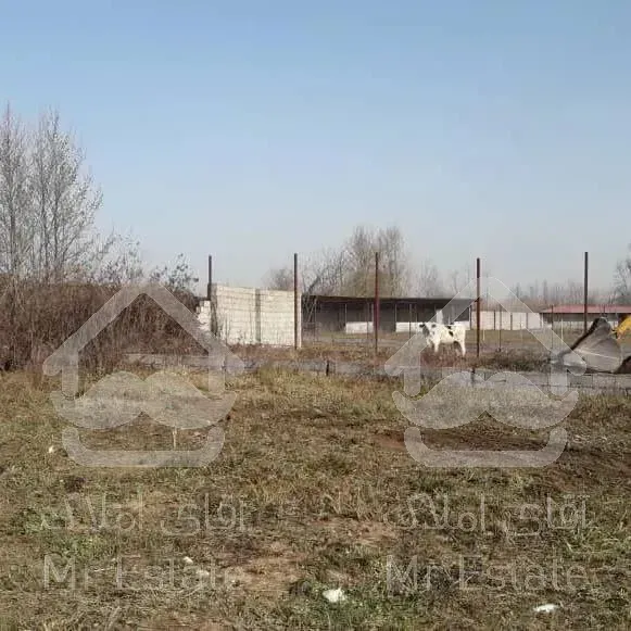 زمین با‌کاربری پرورش شترمرغ