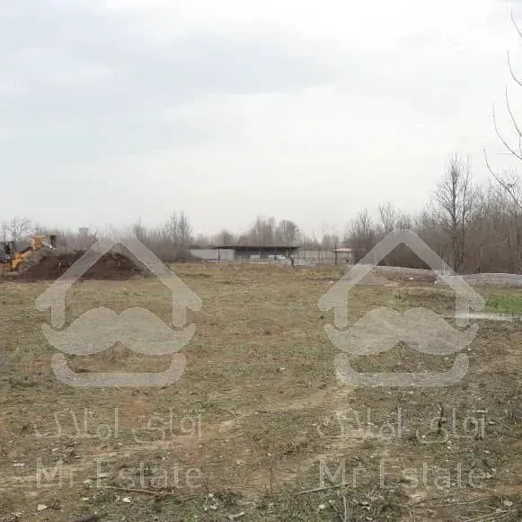 زمین با‌کاربری پرورش شترمرغ