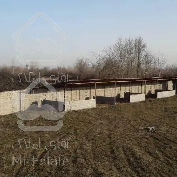 زمین با‌کاربری پرورش شترمرغ