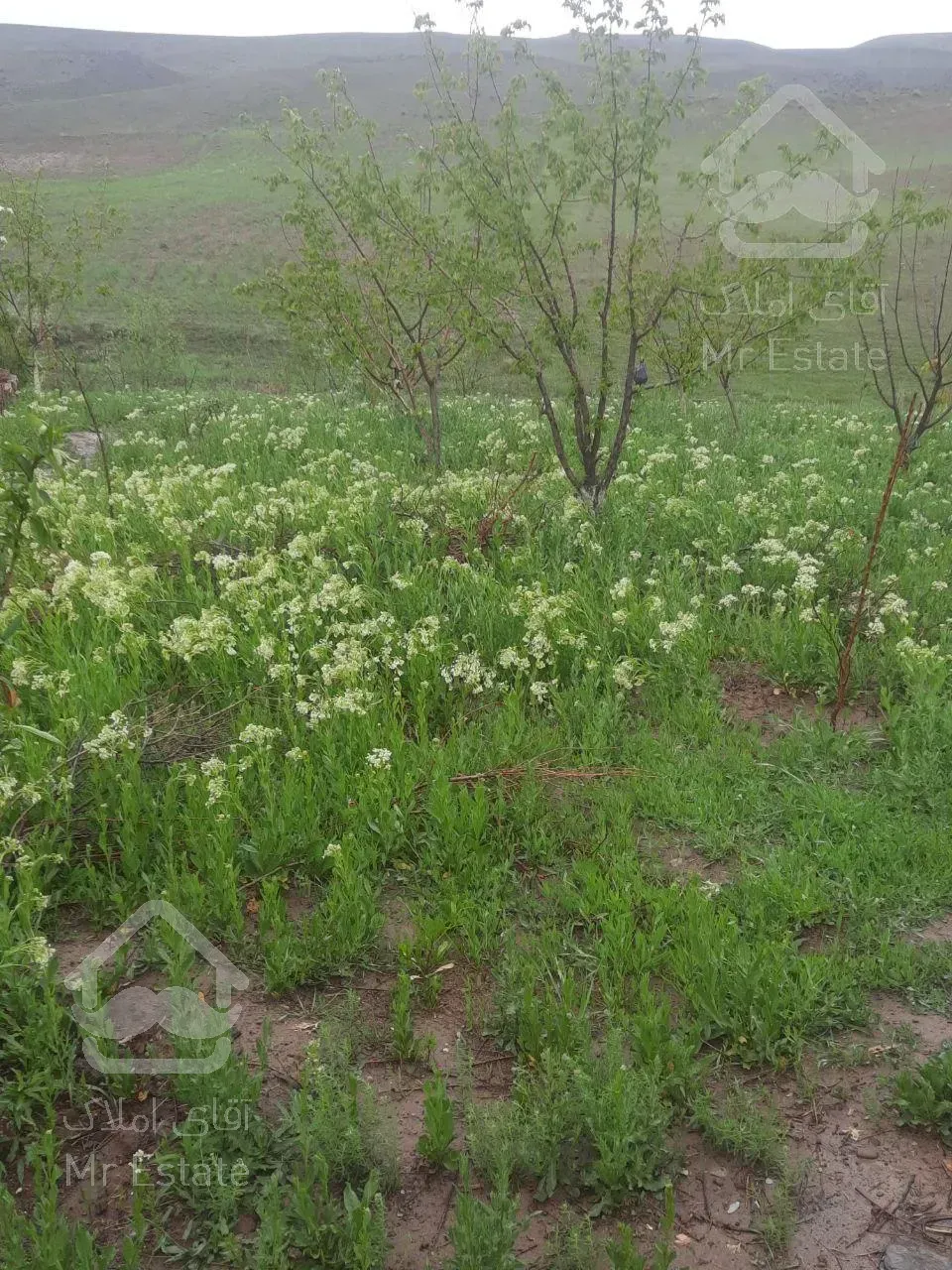 فروش ویلاباغ در محدوده مس سونگون _ خواجه در شهر تبریز