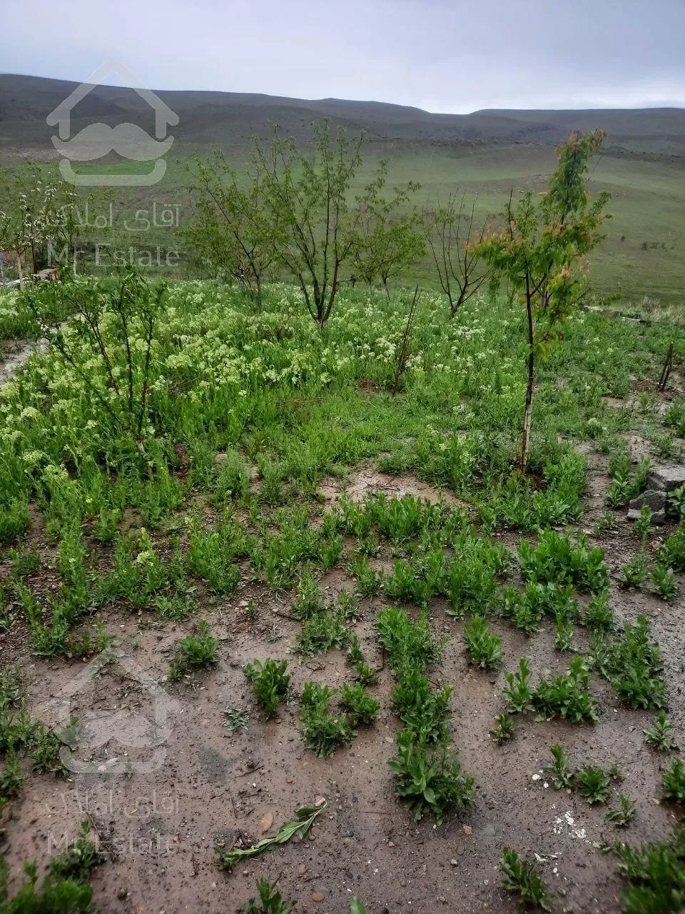 فروش ویلاباغ در محدوده مس سونگون _ خواجه در شهر تبریز