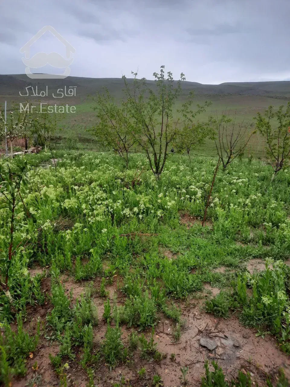 فروش ویلاباغ در محدوده مس سونگون _ خواجه در شهر تبریز