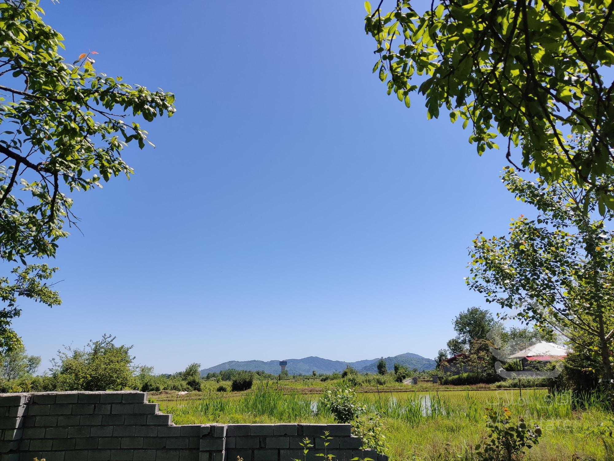 فروش زمین مسکونی در روستای گلرودبار لاهیجان