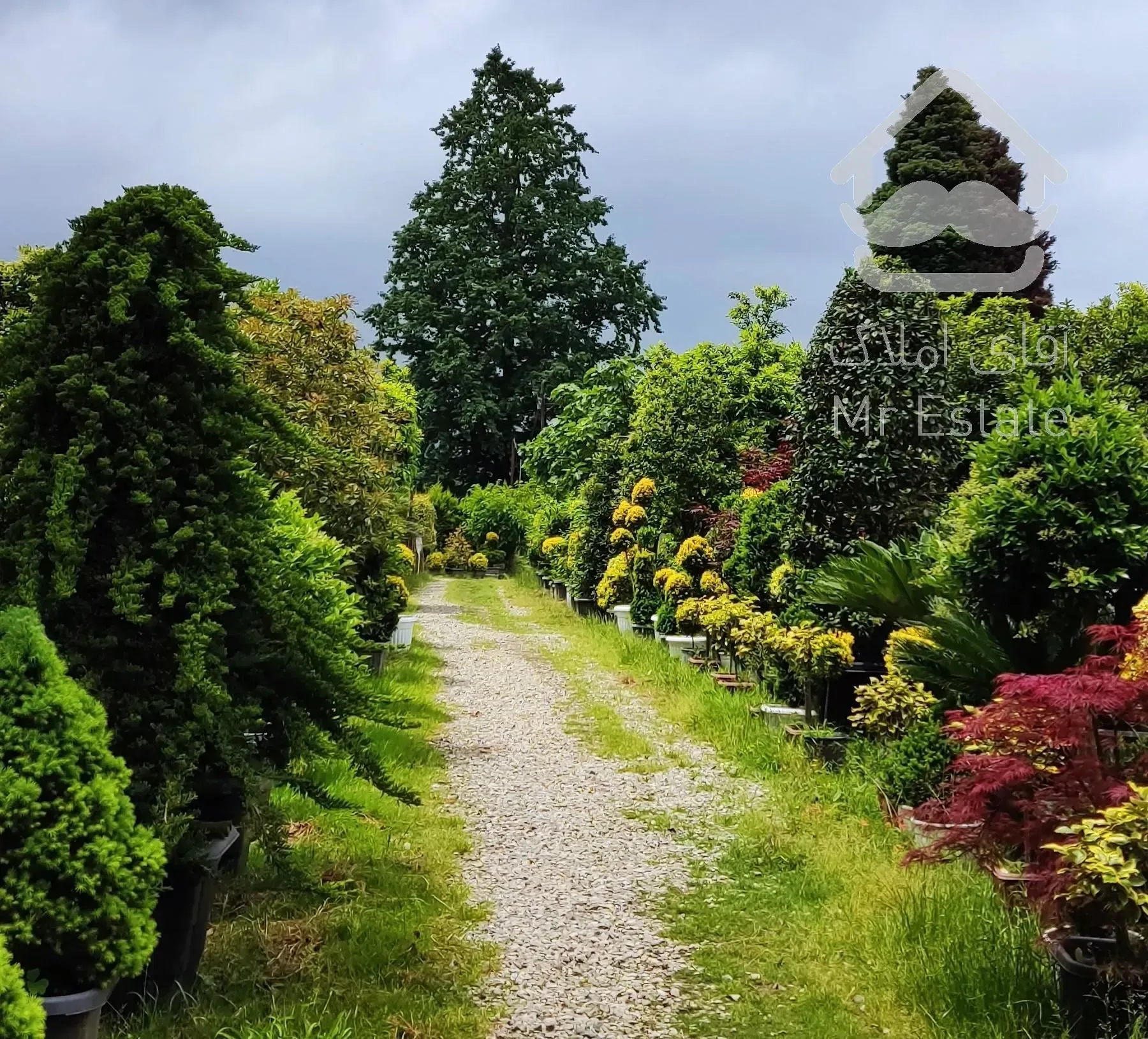 تولید گل و گیاه بیرونی و اجرای فضای سبز