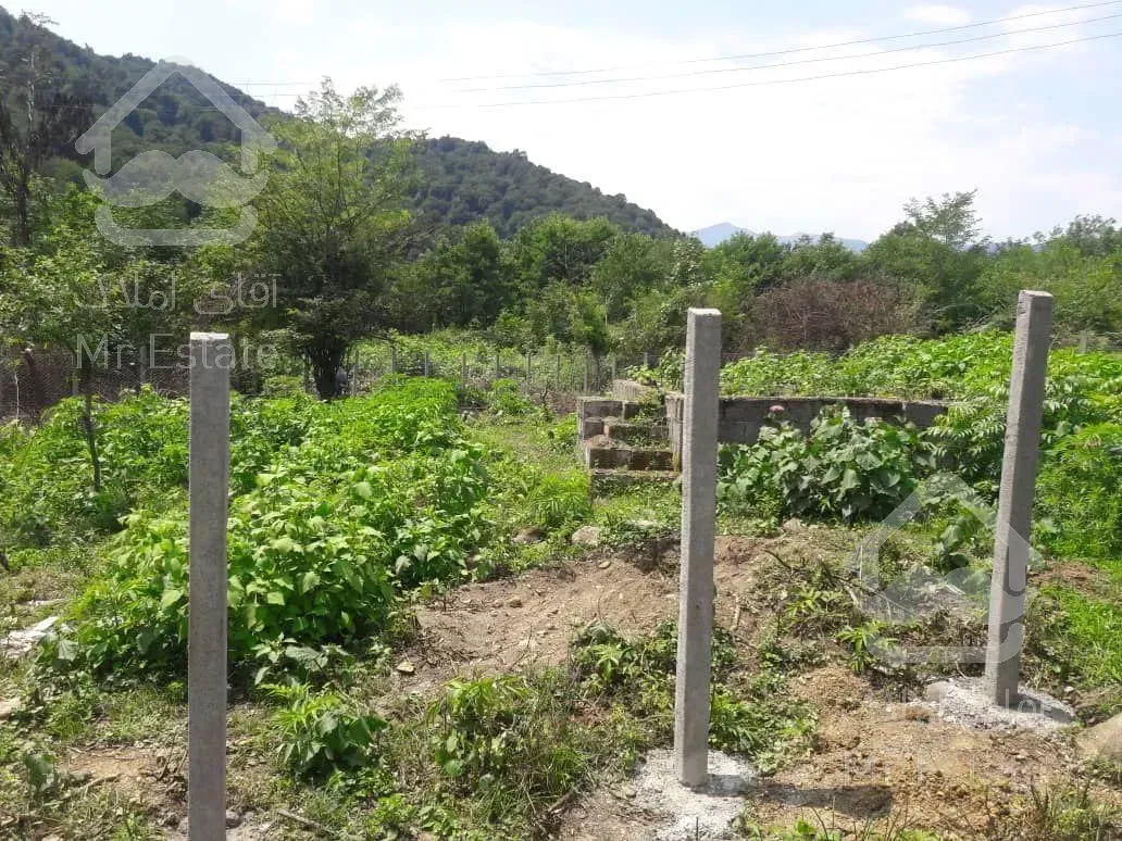 فروش زمین کوهپایه ای جنگلی 700 متر مسکونی ییلاقی در شفت