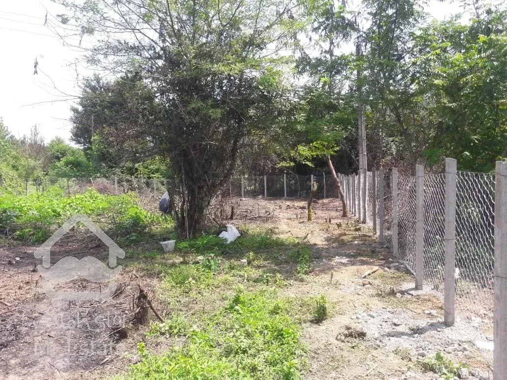 فروش زمین کوهپایه ای جنگلی 700 متر مسکونی ییلاقی در شفت