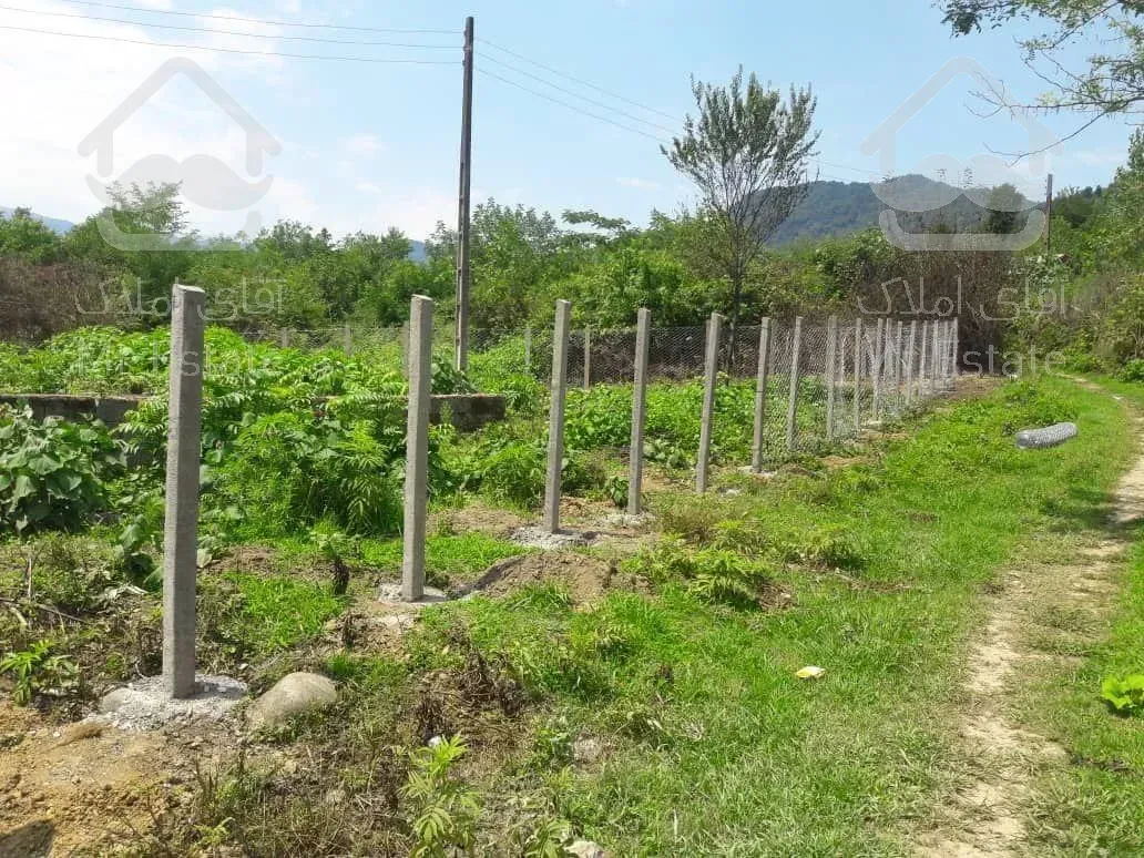 فروش زمین کوهپایه ای جنگلی 700 متر مسکونی ییلاقی در شفت